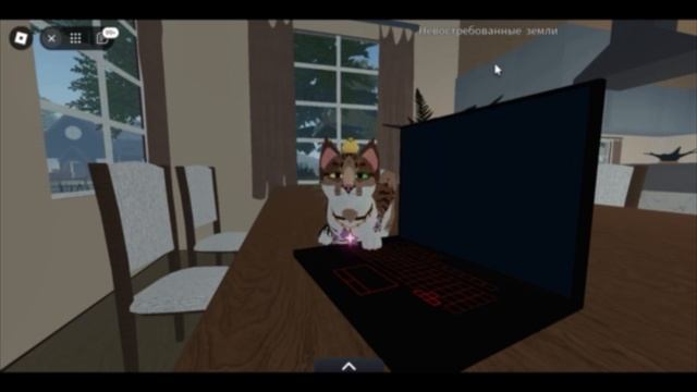 •Обзор прайд-обновления в КВ• #wildcraft #warriorcats #котывоители #wcue #roblox