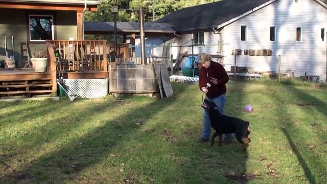 DJ Working on her DB Retrieve 18 months old смотреть онлайн