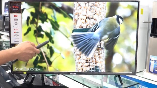 Android Tivi TCL 43 inch L43S5200 смотреть онлайн