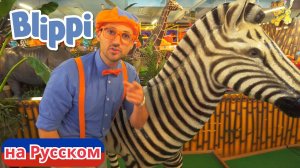 Блиппи изучает животных джунглей | Блиппи на Русском | Изучай этот Мир вместе с Блиппи | Blippi