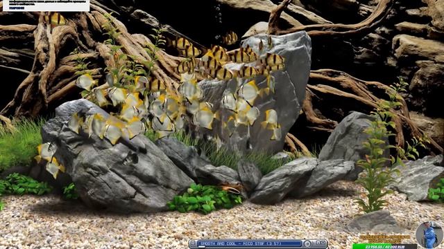 Флора и фауна подводного мира, с музыкой