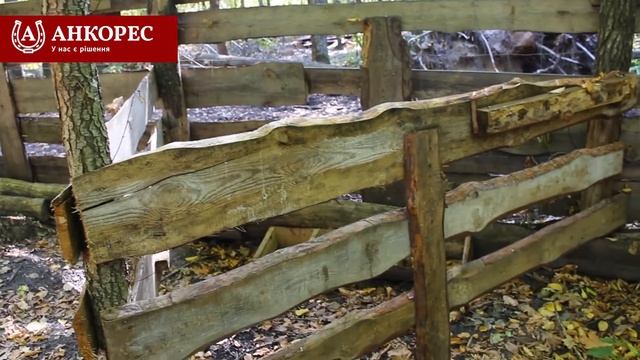 Як вирощувати диких кабанів - мисливське господарство "Олександрівське" смотреть онлайн