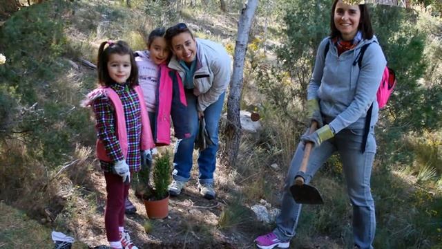 Voluntariat Ambiental Torrent Verd y Asiger Vistabella смотреть онлайн
