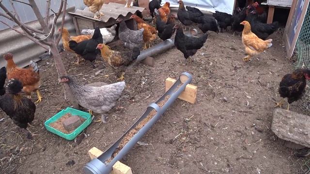 Подсадили малину🍓Включили отопление😊 Готовим теплицы на зиму💪Осень в нашем доме🏡 смотреть онлайн