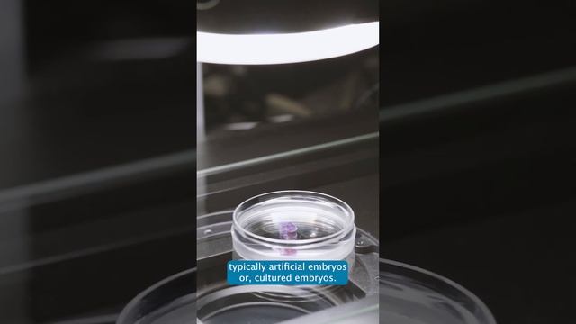 Prof. Guillaume Andrey - Part 3 - 3Rs AWARDEE 2022 SHORT #science #3Rs #3RCC #innovation смотреть онлайн