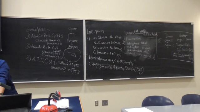 AEM 341 Lecture Exam 3 review-1 смотреть онлайн