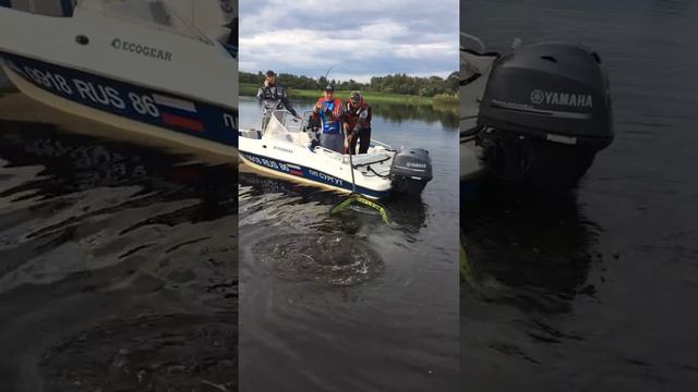 Щука весом на 5-6 кг , поймана на нойке 5 дюймов! смотреть онлайн