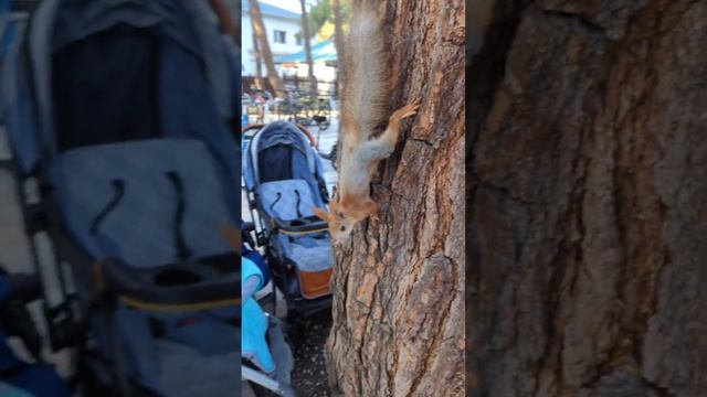 #геленджик смотреть онлайн