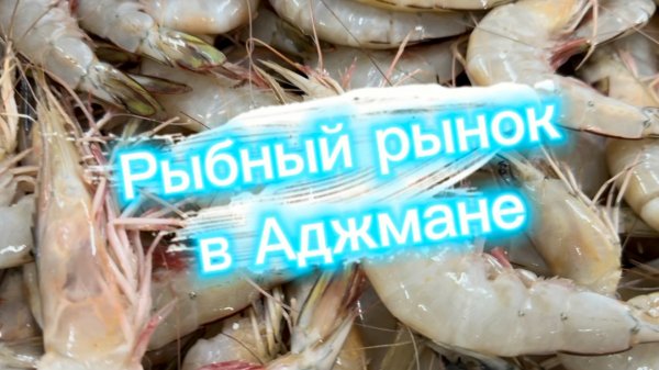 Прогулка по рыбному рынку Аджмана (Ajman Fish Market)