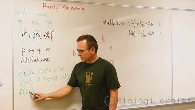 Hardy Weinberg- Hvad er det? смотреть онлайн