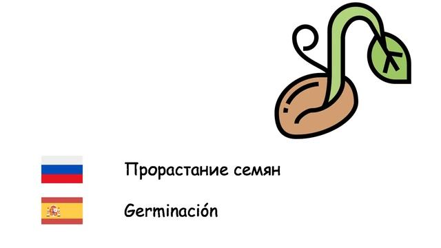 Биология (Испанский язык) (ru-es) смотреть онлайн