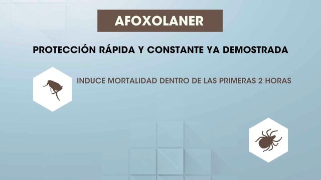 NexgardSpectra смотреть онлайн