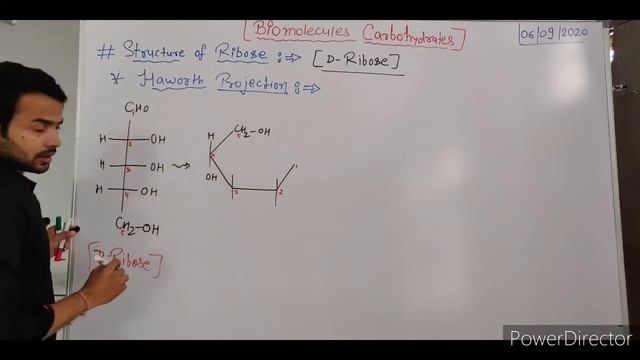 Biomolecules || Structure of Ribose and Deoxyribose смотреть онлайн