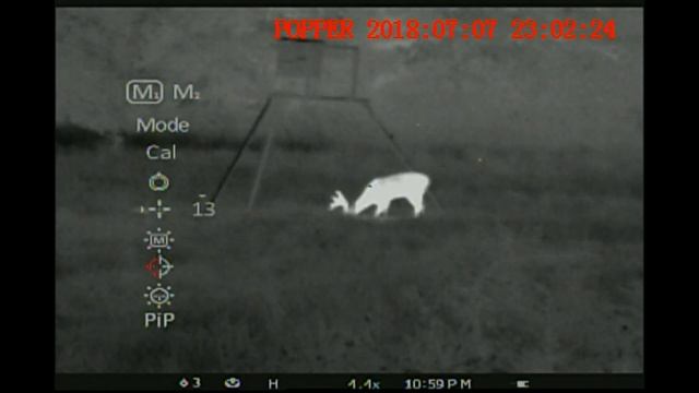 Pulsar APEX XQ50 thermal riflescope - All reticles at 100 yards on Texas Buck смотреть онлайн