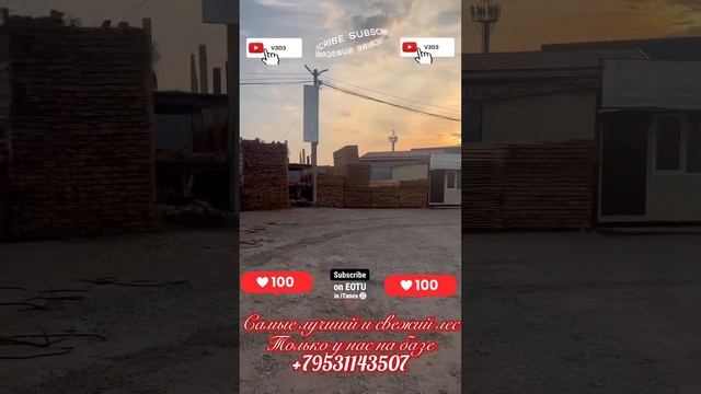 Чистый размер смотреть онлайн