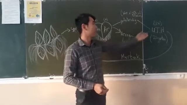 6-sinf Darsligi Qirqquloqlar Bo'limi