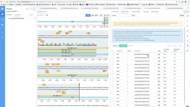 Benchling Designing CRISPR Knock Out Guides Tutorial 1 смотреть онлайн