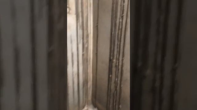 شركة الرائد للتنظيف والتعقيم ومكافحة الحشرات 0566011314 смотреть онлайн