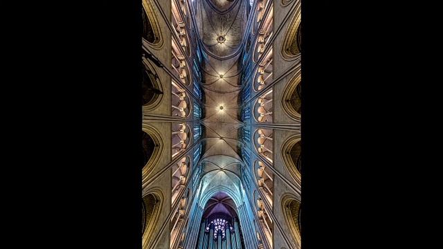 París : Catedral de Notre-Dame (interior y gárgolas), meses antes del incendio, y acordeón francés. смотреть онлайн