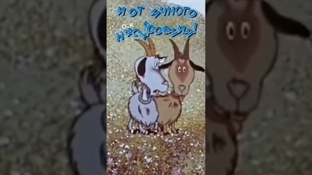 #Доброе утро смотреть онлайн