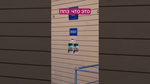 Твоя версия ППЗ ? смотреть онлайн