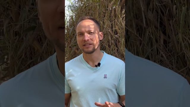 Номер один в мире для инвестиции в недвижимость смотреть онлайн