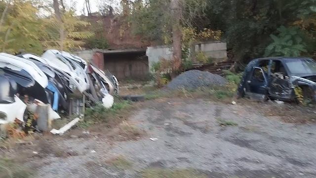 VID_20241027_164628 Ботанический сад ЮФУ, з/у с КН: 61:44:0061408:17, КН: 61:44:0061408:4 смотреть онлайн