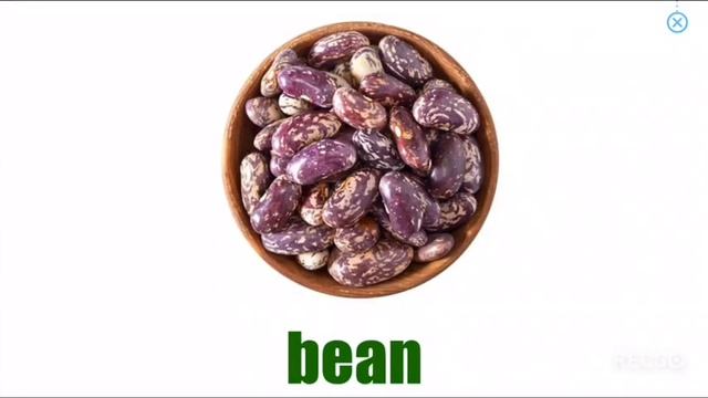 Course 2. Lesson 18. English For Kids With Monkey Junior.