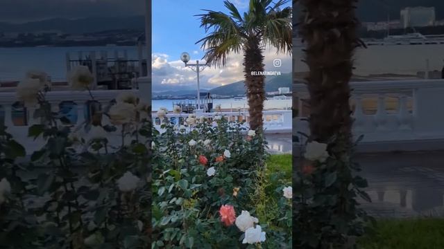 Наполняй мир любовью смотреть онлайн