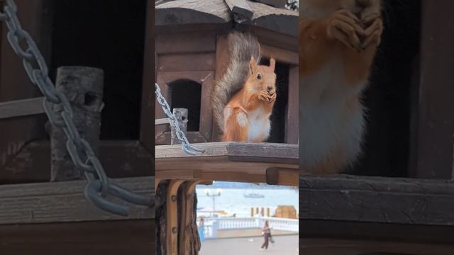 Благодарю за всё! #геленджик смотреть онлайн