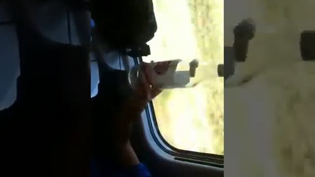 Бухаем в поезде смотреть онлайн