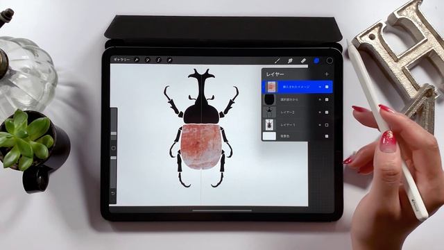 Procreate: Drawing a Beetle Using the Symmetry Tool. смотреть онлайн