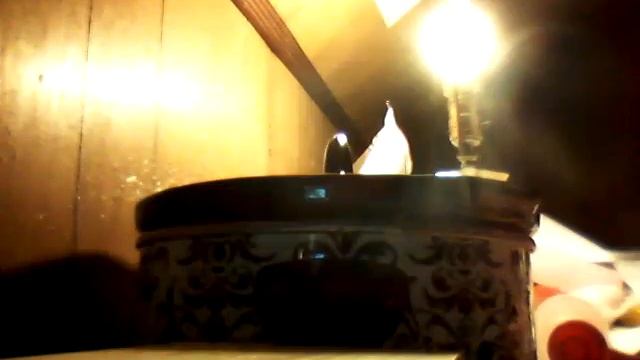 1312. Double Batch part 2. (Anago Black soap) смотреть онлайн