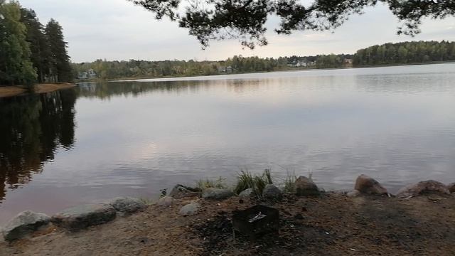 VID_20230927_181413 смотреть онлайн