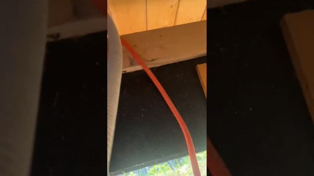 диванная экспертиза смотреть онлайн