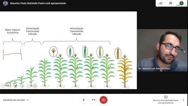 Live do FERTILE - Manejo da cigarrinha-do-milho смотреть онлайн