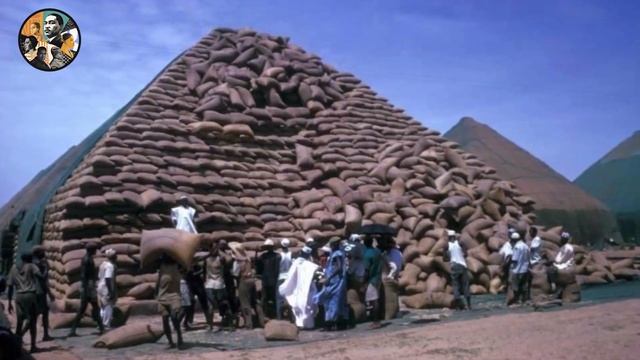 The Secret Deep Pocketed Black Family That Owns Africa! смотреть онлайн