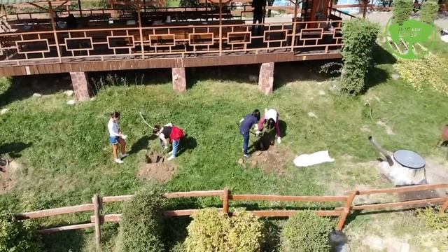 Microsoft делает вклад в зелень Казахстана! смотреть онлайн