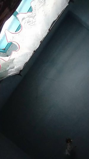 милена дочь