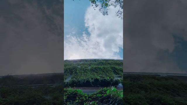 Wind sounds - Wind sound for sleeping, insomnia, relaxing, study #nature #trending #viral #reels смотреть онлайн