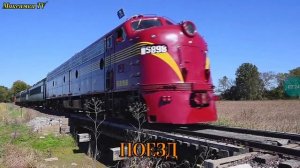 Транспорт и спецтехника, видео для детей, изучаем транспорт и звуки. Машинки слайд шоу