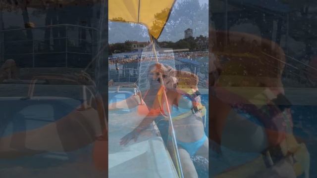 Девочка - лето☀️#геленджик смотреть онлайн