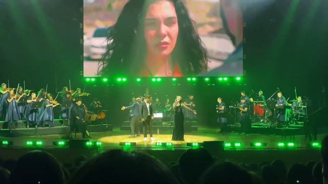 Hercai 2024 | Ветреный | BN TEAM Orchestra