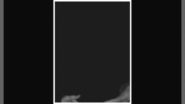 NN 3 (Created with Magisto) смотреть онлайн