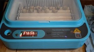 Тестируем китайский инкубатор. Часть 1 #инкубация #перепела #инкубацияяиц #цыплята #экоферма