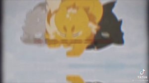 Коты воители|тик ток видио|