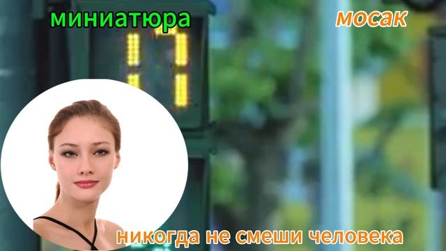 никогда не смеши человека смотреть онлайн