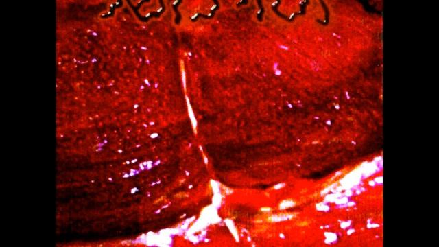 failed experiment : bloop : i ♥ mom смотреть онлайн
