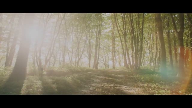 Grand Epic Cinematic Background Music For Videos - Triumph By AudioknapMusic ★