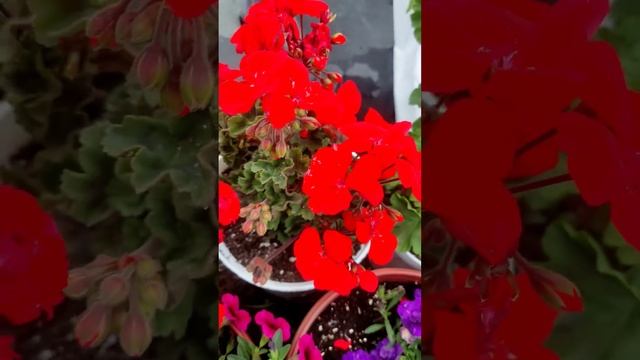 на пороге октября смотреть онлайн